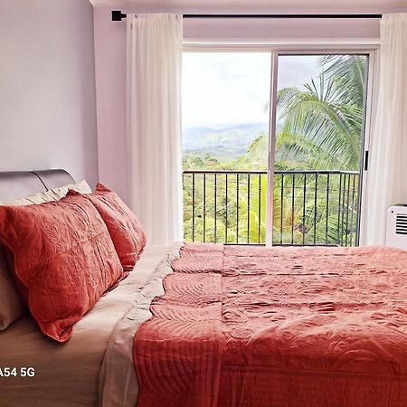 Victoria House Hostel San Isidro De El General Ngoại thất bức ảnh